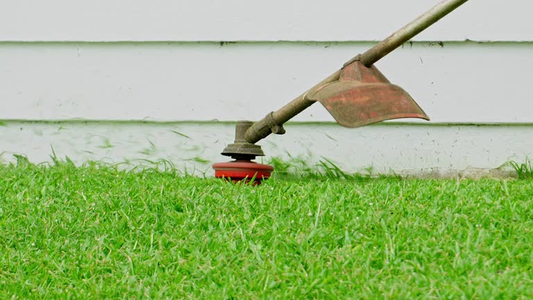 Best Aeration Services  in Mauldin, SC