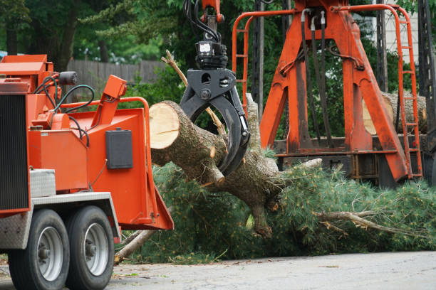 Best Grass Overseeding  in Mauldin, SC